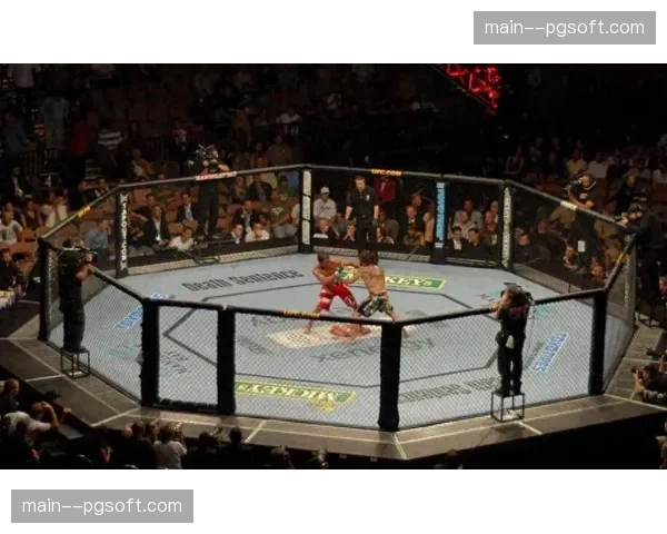 拉斯维加斯旅游部门数据：UFC大型赛事周末带动周边消费破纪录